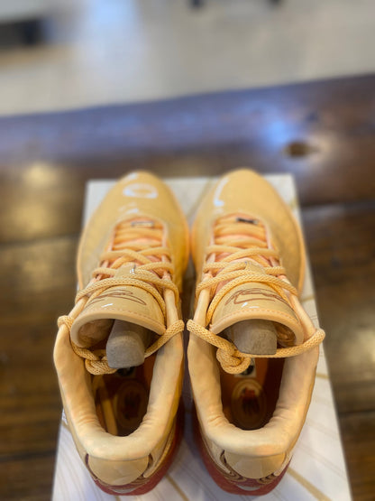 Nike LeBron 21 Melo Melo PRE-OWEND