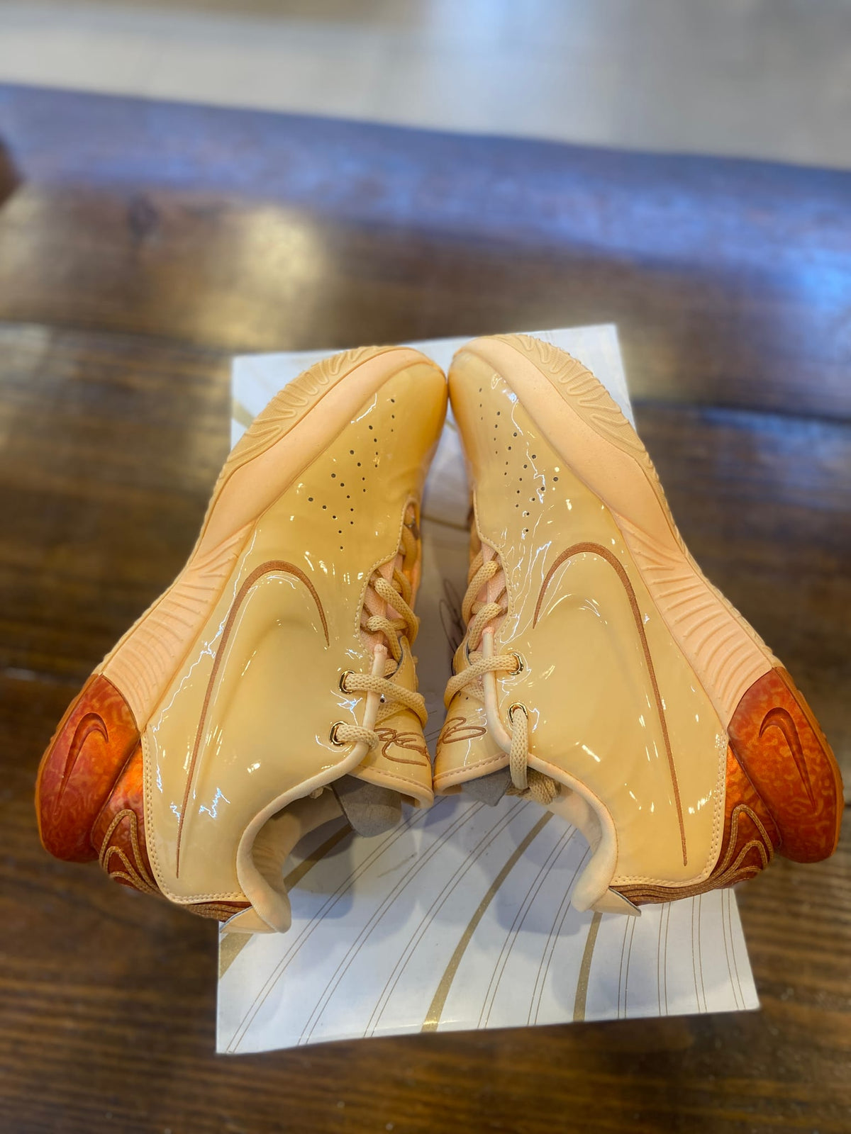 Nike LeBron 21 Melo Melo PRE-OWEND