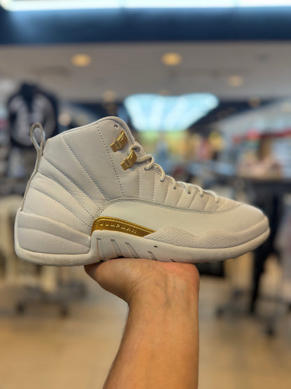 Jordan 12 Retro Phantom (Women's) PRE-OWNED