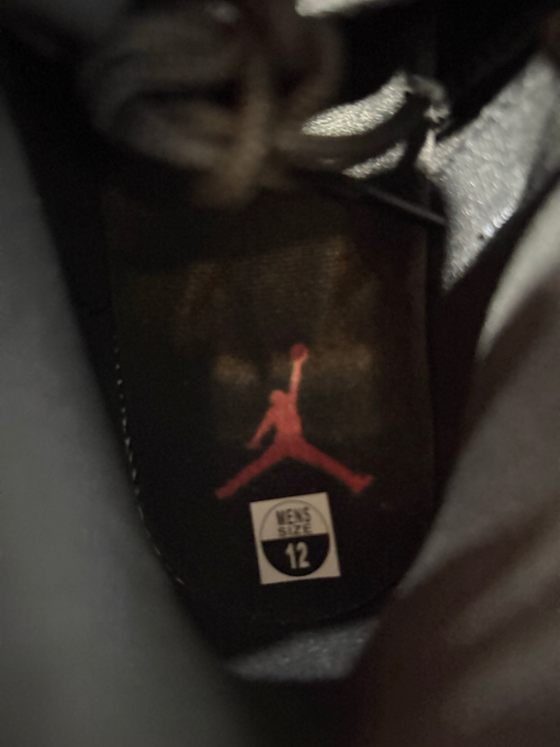 Jordan 12 Retro Flu Game (2025) PRE-OWNED