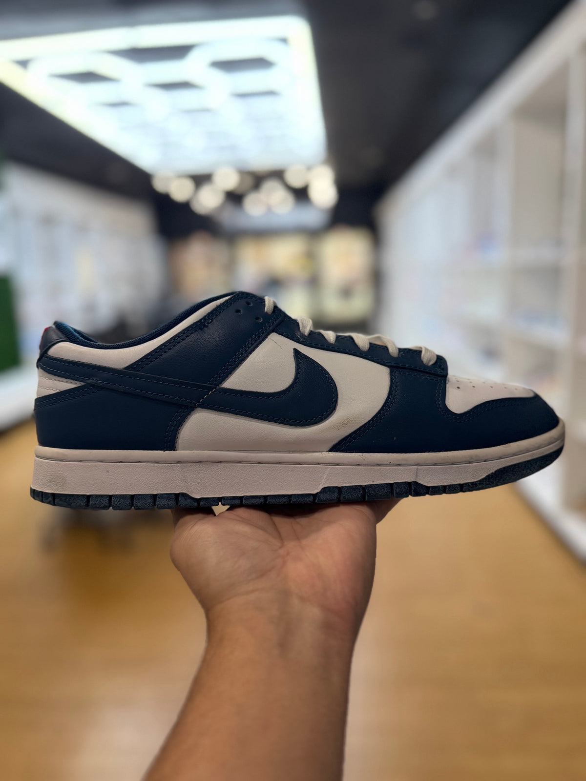 Nike Dunk Low Valerian Blue PRE-OWNED