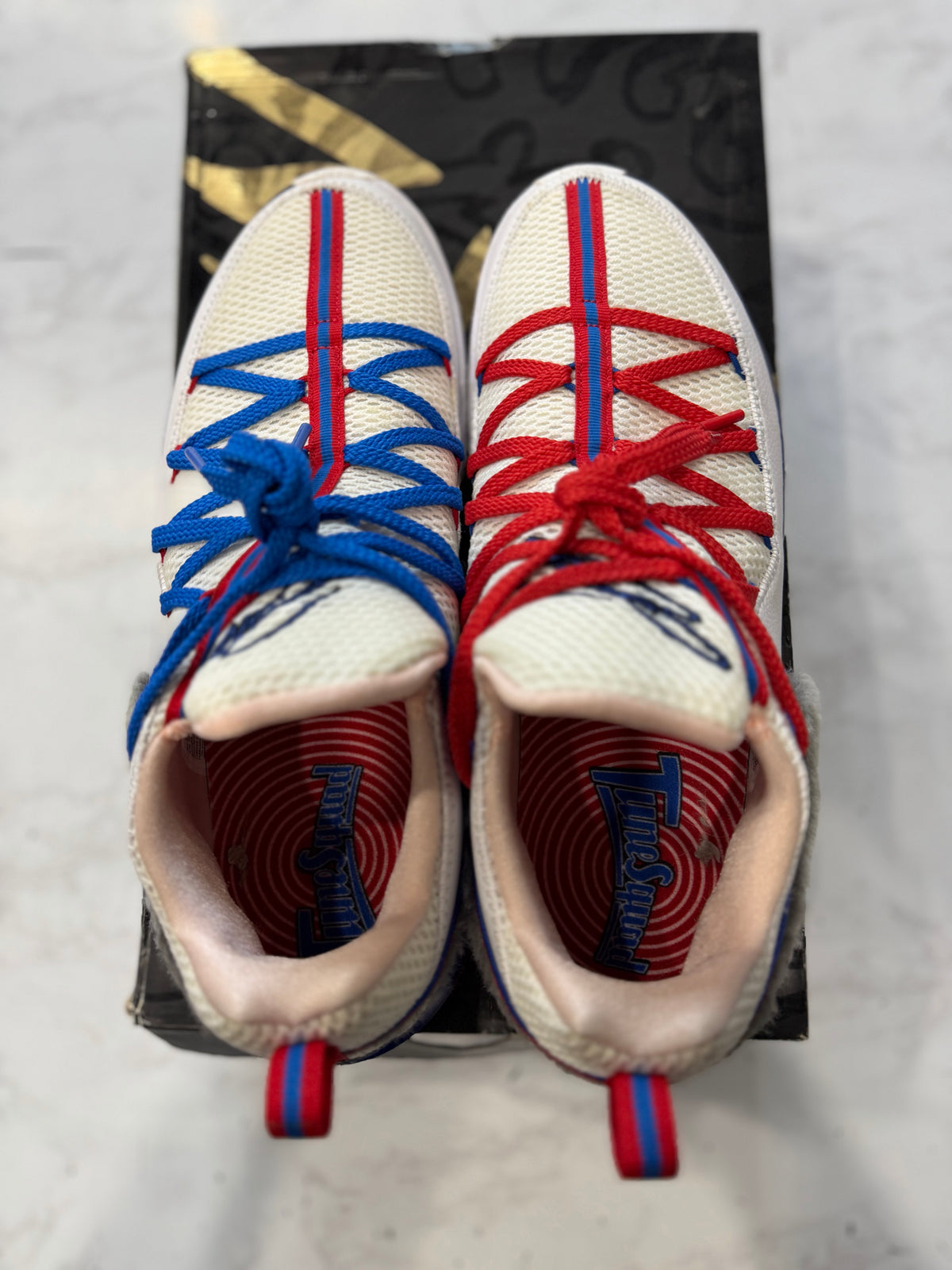 Nike LeBron 17 Low Tune Squad PRE-OWNED
