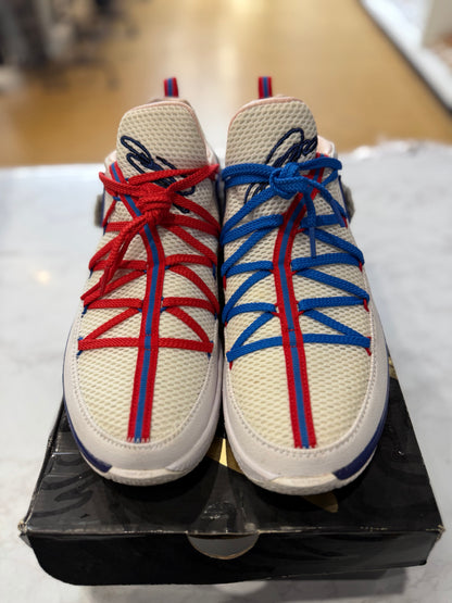 Nike LeBron 17 Low Tune Squad PRE-OWNED