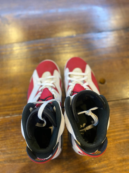 Jordan 6 Retro Carmine (2021) PRE-OWNED
