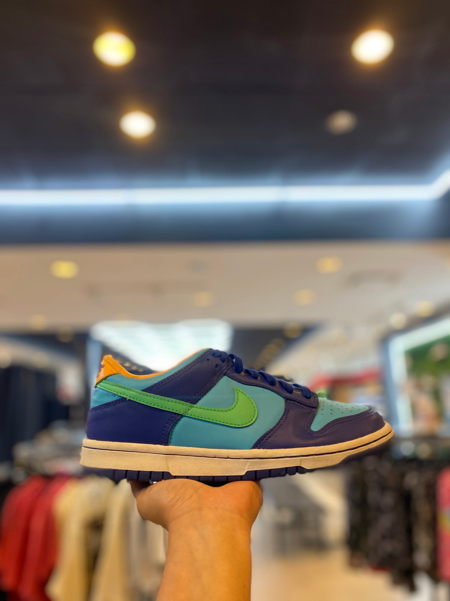 Nike Dunk Low All-Star (2023) (GS) PRE-OWNED