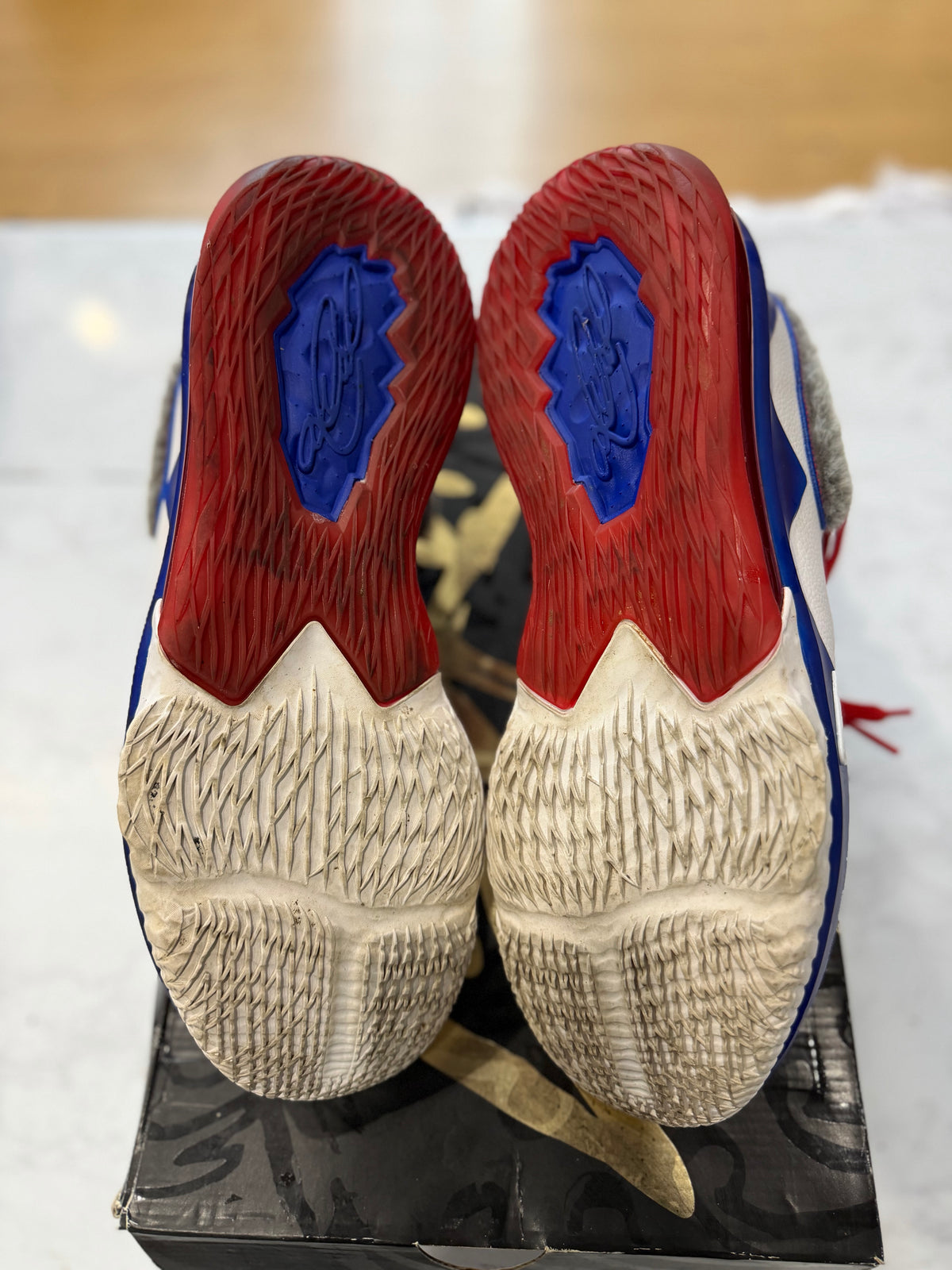 Nike LeBron 17 Low Tune Squad PRE-OWNED