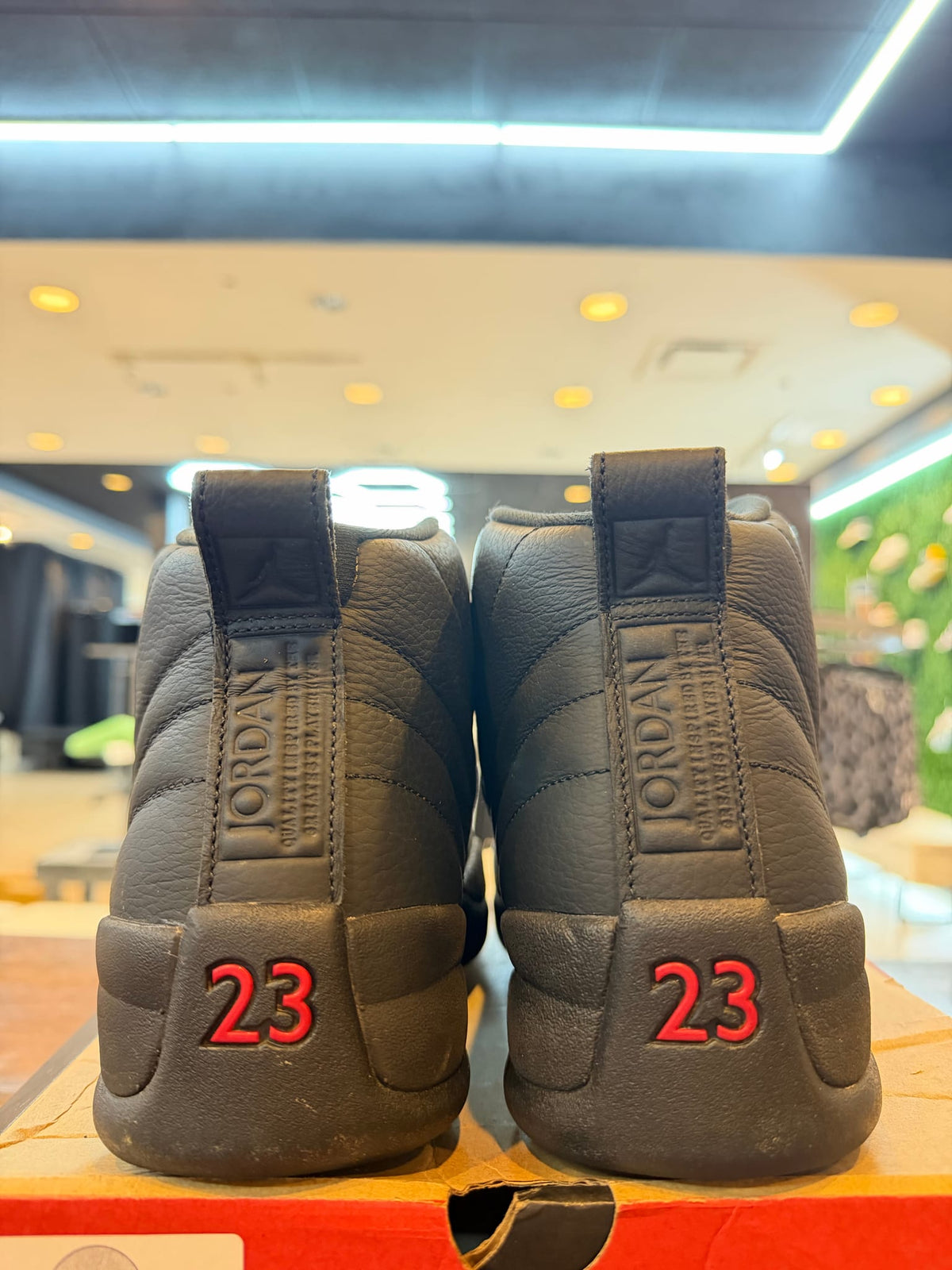Jordan 12 Retro Bloodline PRE-OWNED